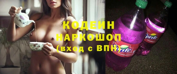 индика Покров