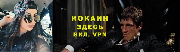прущие крисы Абаза