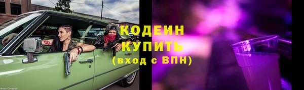 индика Покров
