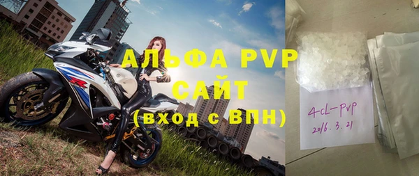 индика Покров