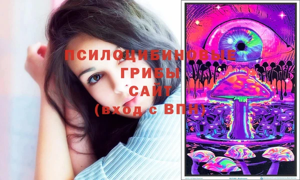 прущие крисы Абаза