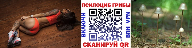 купить наркотик  Донской  Псилоцибиновые грибы мицелий 